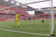 a soccer goalie in yellow stands in front of a soccer net