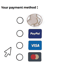 Payment Paypal GIF - Payment Paypal Visa GIFs
