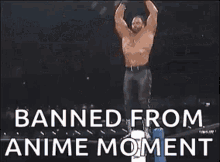 Wrestling Banned GIF - Wrestling Banned Anime GIFs