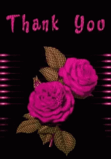 thank you pink roses