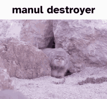 Bftg Manul Destroyer GIF - Bftg Manul Destroyer Manul GIFs