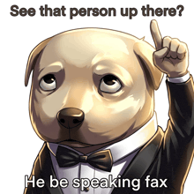 a picture of a dog in a tuxedo with the caption see that person up there