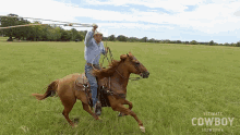 Riding Horse Hunter Arnold GIF