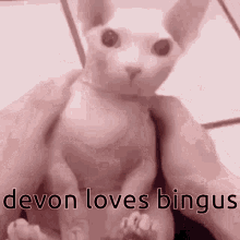 Bingus Devon GIF - Bingus Devon Igotzucc GIFs