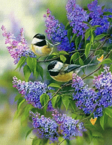 Birds Flowers GIF - Birds Flowers - Discover & Share GIFs