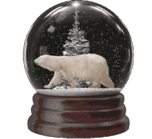 polar bear snowglobe snow winter globe