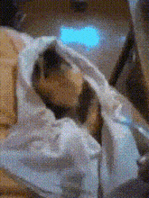 a person is wrapped in a white blanket in a room with a blue light behind them .