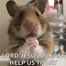 a hamster is praying with the words lord jesus please help us today written below it