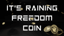 Freedom Freedom Coin GIF - Freedom Freedom Coin Raining Freedom Coin GIFs