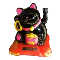 a black cat with a pink collar and a yellow bag that says ' wealth ' on it
