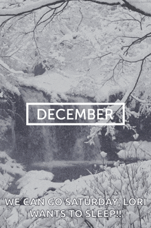 December Happy December GIF - December Happy December Winter GIFs