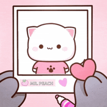 a drawing of a cat with the name mr. peach