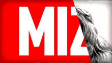 The Miz Asuka GIF - The Miz Asuka Wwe GIFs