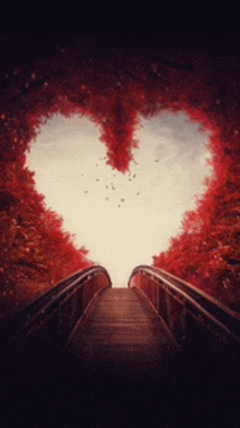 a bridge leading to a heart shaped tunnel of red trees