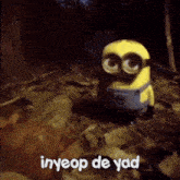 a picture of a minion with the words " inyeop de yad " below it