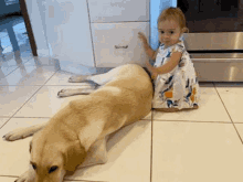 Baby Dog GIF - Baby Dog Dogdrum GIFs