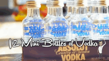 Jellybean-infused Vodka GIF - Jellybeans Vodka Drink GIFs
