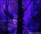 Lilbruhgwop Witch Kitty GIF - Lilbruhgwop Witch Kitty Serial Experiments Lain GIFs