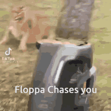 Floppa GIF - Floppa GIFs