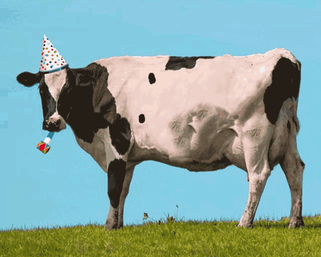 Birthday Cows GIFs
