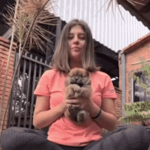 Puppies Puppy GIF - Puppies Puppy Funny Pets GIFs