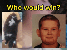 Who Would Win Osuug GIF - Who Would Win Osuug Iirox GIFs