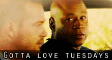 Tuesday Gotta Love Tuesdays GIF - Tuesday Gotta Love Tuesdays GIFs