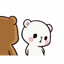 begging bears