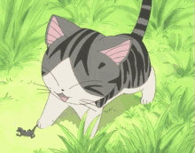 Cat Anime GIF - Cat Anime Kawaii GIFs