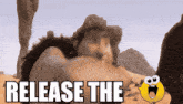 a cartoon drawing of a desert scene with the words release the