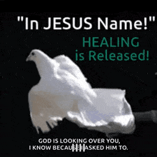 In Christ Healing Is Released GIF