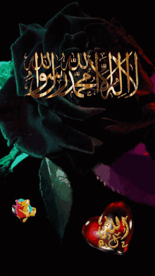 Nasserq Allah GIF - Nasserq Allah GIFs