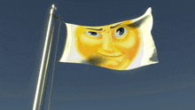 a flag with a yellow face on it is flying in the wind