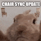 Bannerlord Online Chair Sync GIF - Bannerlord Online Chair Sync Chair Sync Update GIFs
