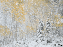 Aspen Snowing GIF - Aspen Snowing Snow GIFs