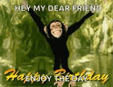 a picture of a chimpanzee with the words hey my dear friend enjoy the day