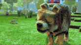 a dog with a leash around its neck has a tag on it that says ' chow chow '