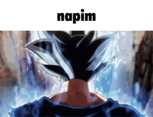 Napim Goku GIF - Napim Goku GIFs