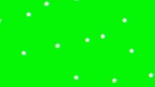 a green screen with a lot of stars on it