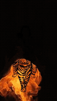Fire Flames GIF - Fire Flames Tiger GIFs