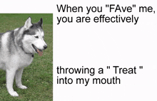 When You Fave Me You Are Effectively Throwing A Treat Into My Mouth Dog GIF