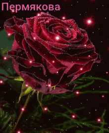 сднемрождения Red Rose GIF - сднемрождения Red Rose GIFs