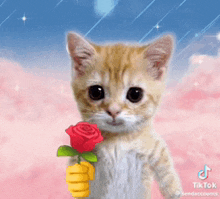 a kitten holding a red rose in its fist .