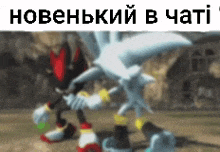 a picture of shadow the hedgehog and silver the hedgehog in a video game .