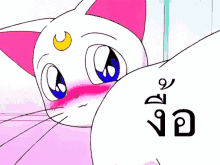 งื้อ แมวเขิน GIF - Cat Blushing Sailormoon GIFs