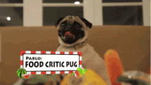 Pablo Pug GIF - Pablo Pug Food Critic GIFs