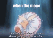 the meac meac princess tutu duck ahiru