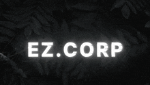 Ez Corp GIF - Ez Corp GIFs