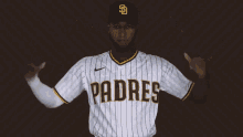 San Diego Padres Padres GIF