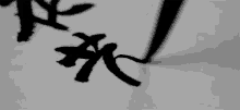 Chinese Calligraphy GIF - Chinese Calligraphy Brush GIFs